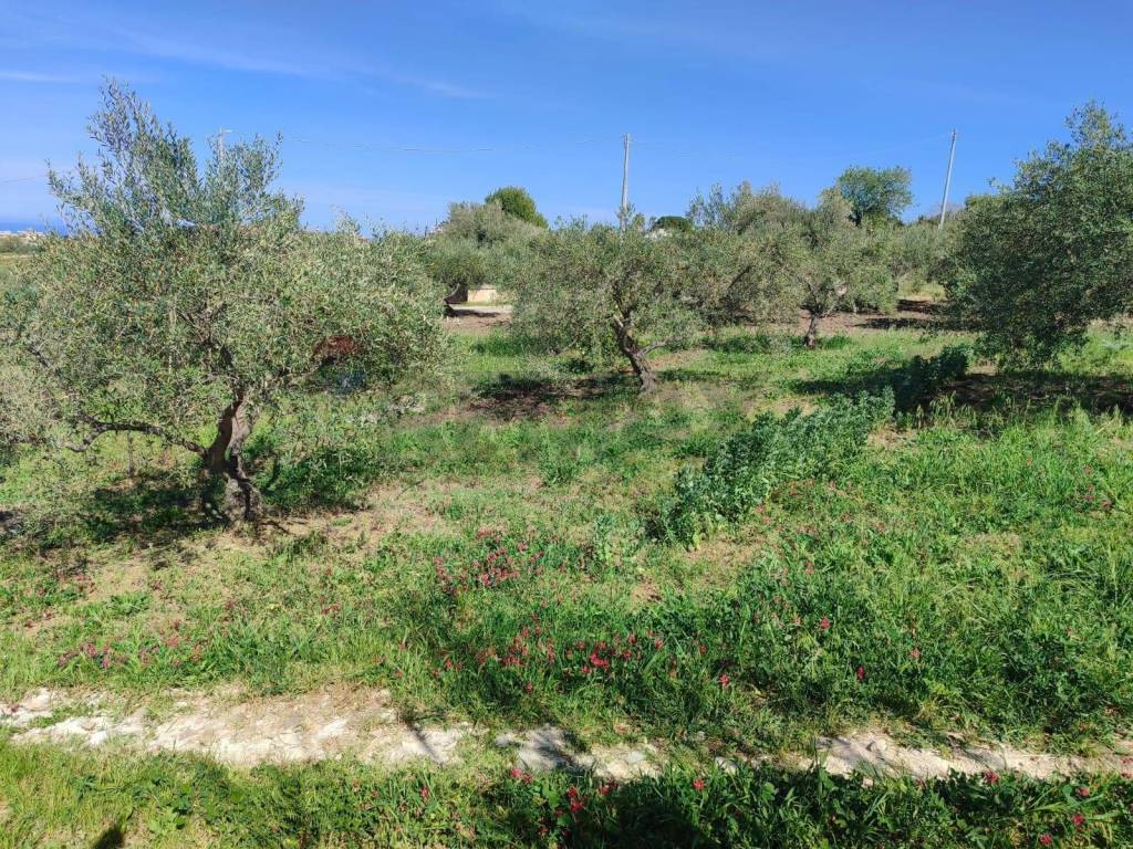 Terreno a Casteldaccia in CONTRADA BAMBINO - Foto 5