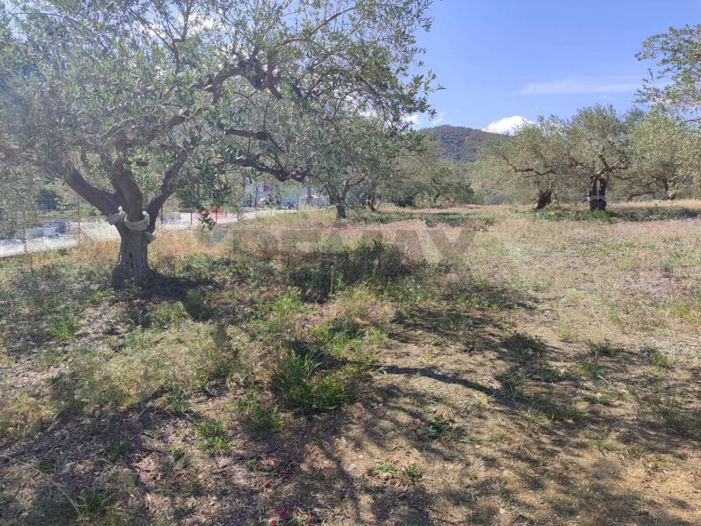 Terreno a Casteldaccia in Strada Mirio - Foto 2