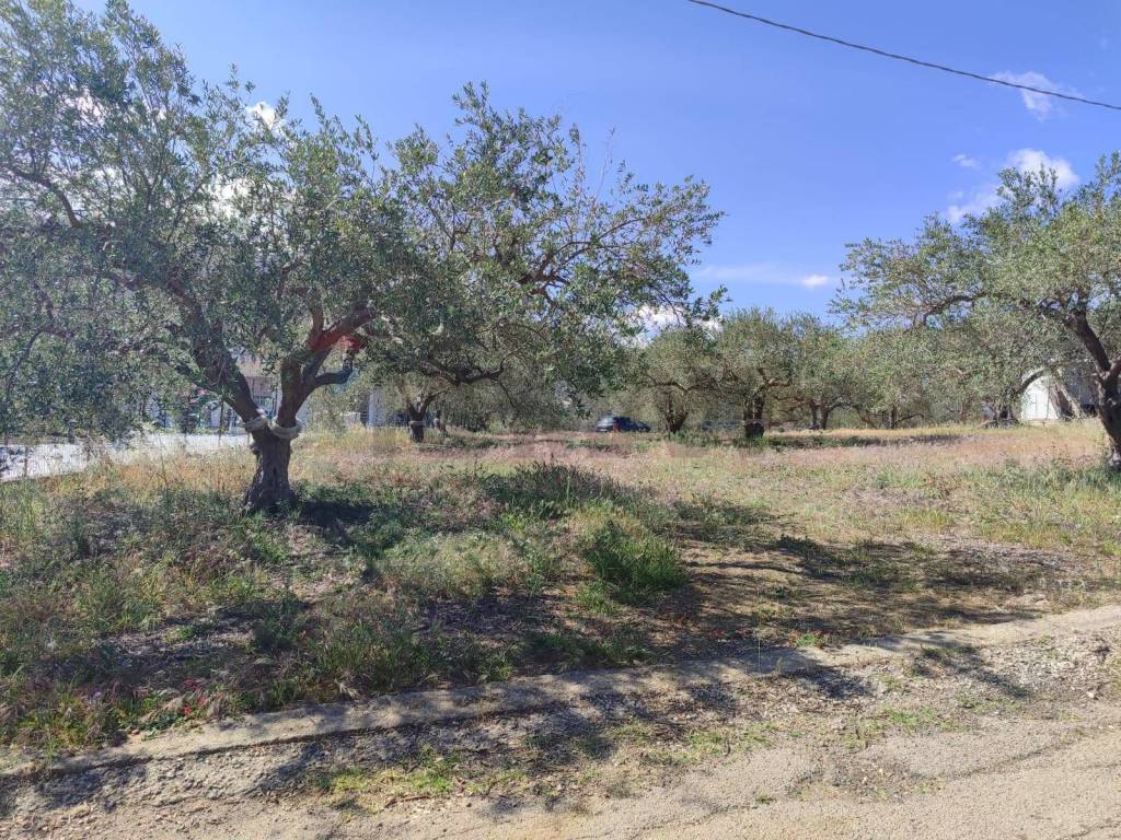 Terreno a Casteldaccia in Strada Mirio - Foto 3