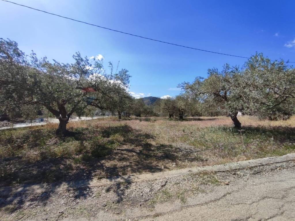 Terreno a Casteldaccia in Strada Mirio - Foto 4