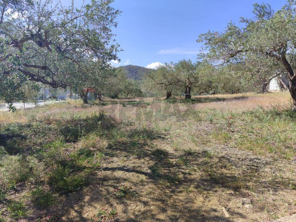 Terreno a Casteldaccia in Strada Mirio - Foto 5