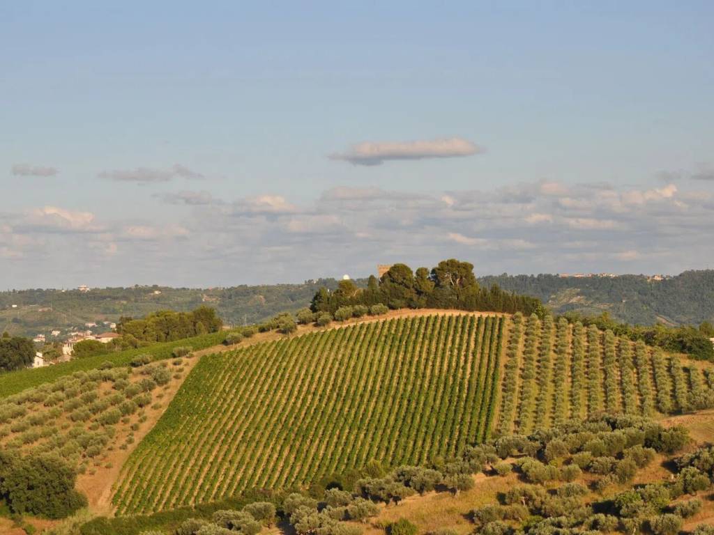 Appartamento a Spoltore in Via Dante Alighieri, 10 - Foto 3