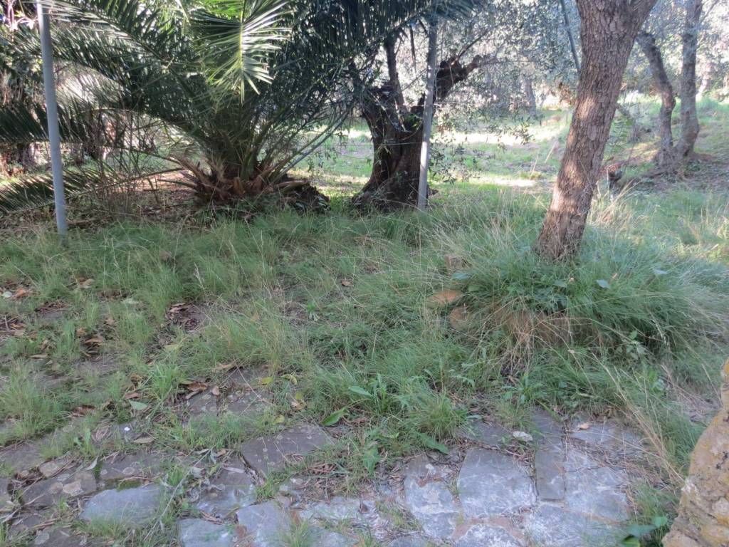 Appartamento a Lavagna - Foto 5