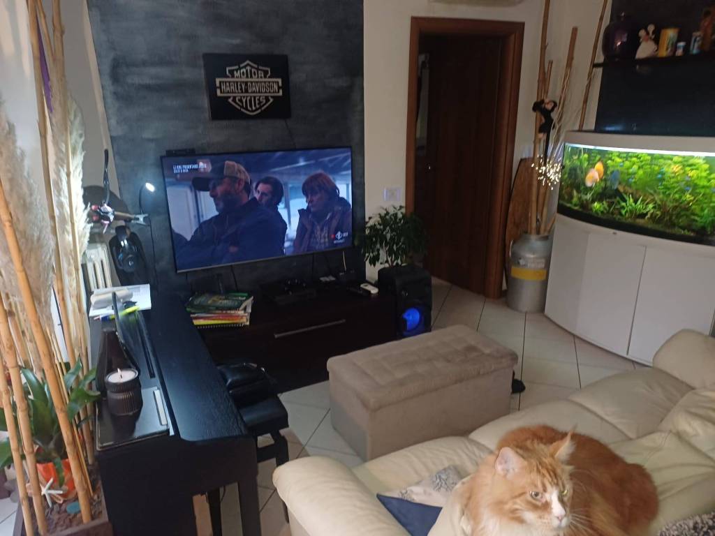 Appartamento a Verona in Via Giovanni Scudeler - Foto 4