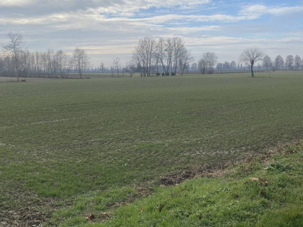 Terreno a Arzergrande in Via Caresin - Foto 2