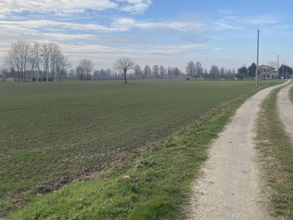 Terreno a Arzergrande in Via Caresin - Foto 3