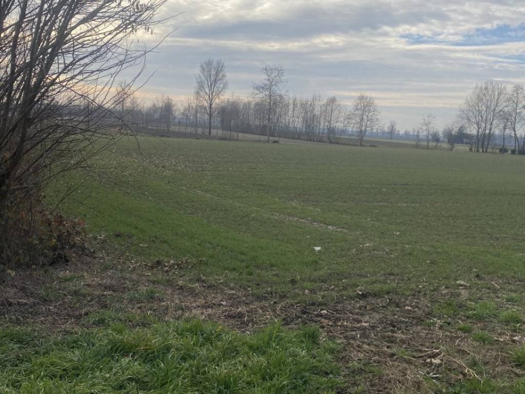 Terreno a Arzergrande in Via Caresin - Foto 4