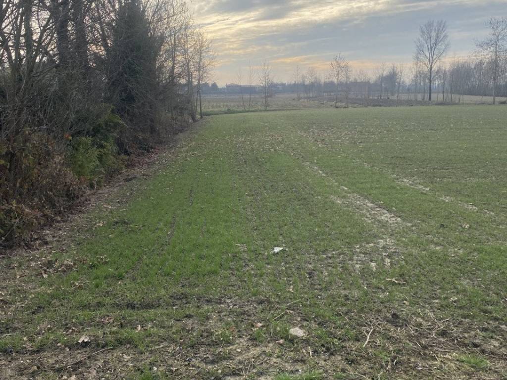 Terreno a Arzergrande in Via Caresin - Foto 5
