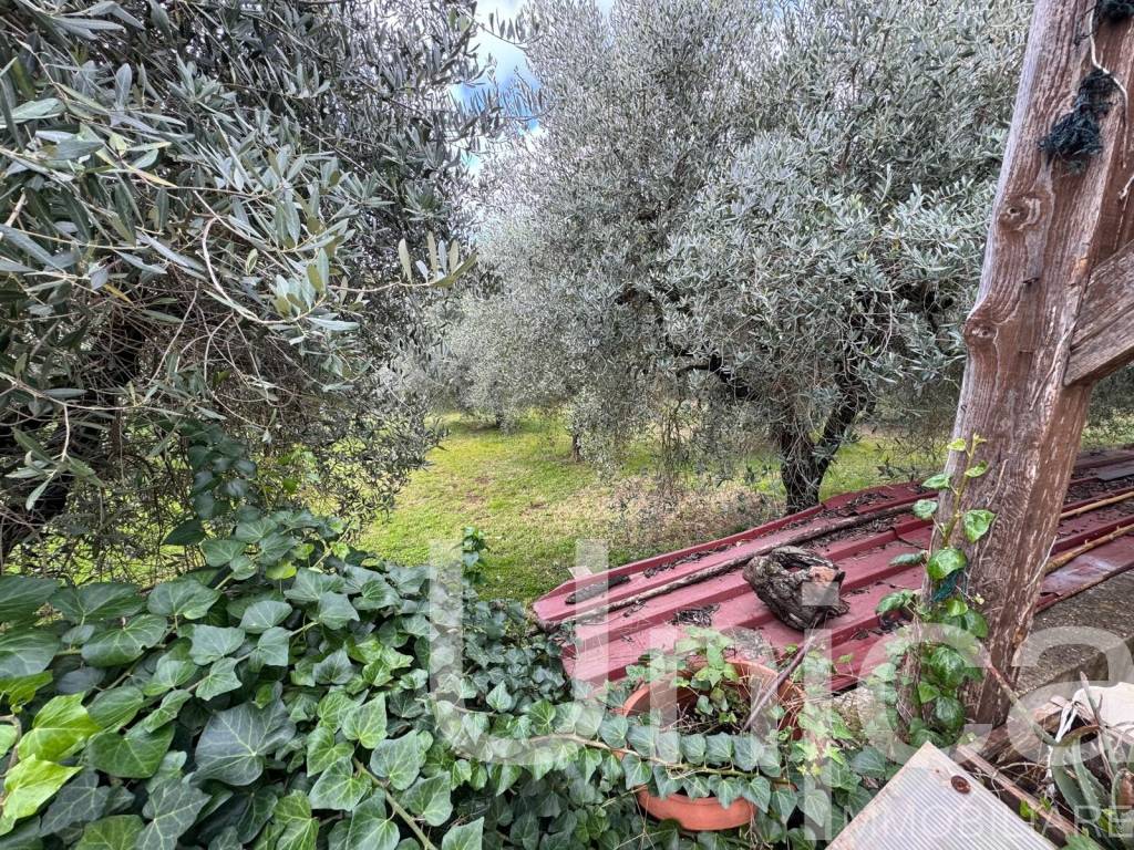 Casa indipendente a Bassiano in Via Sezze - Foto 3