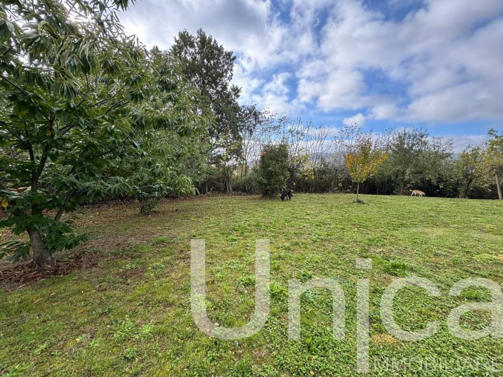 Casa indipendente a Bassiano in Via Sezze - Foto 4