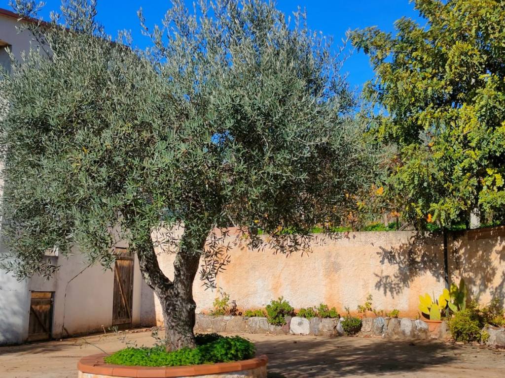 Villa a Francavilla angitola in CONTRADA BADIA - Foto 4