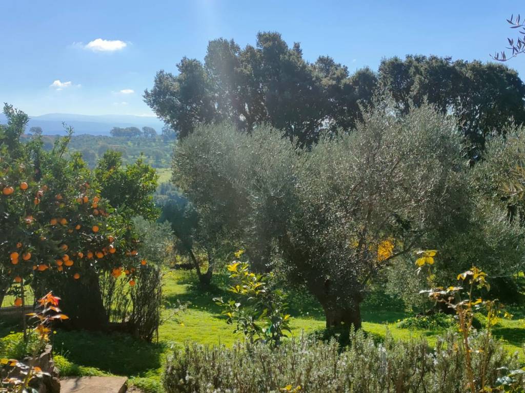 Villa a Francavilla angitola in CONTRADA BADIA - Foto 5