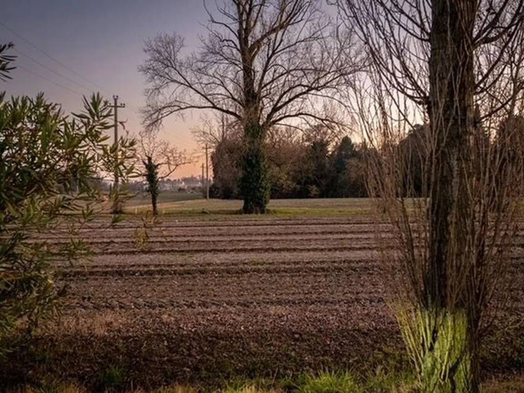 Terreno a Preganziol - Foto 2
