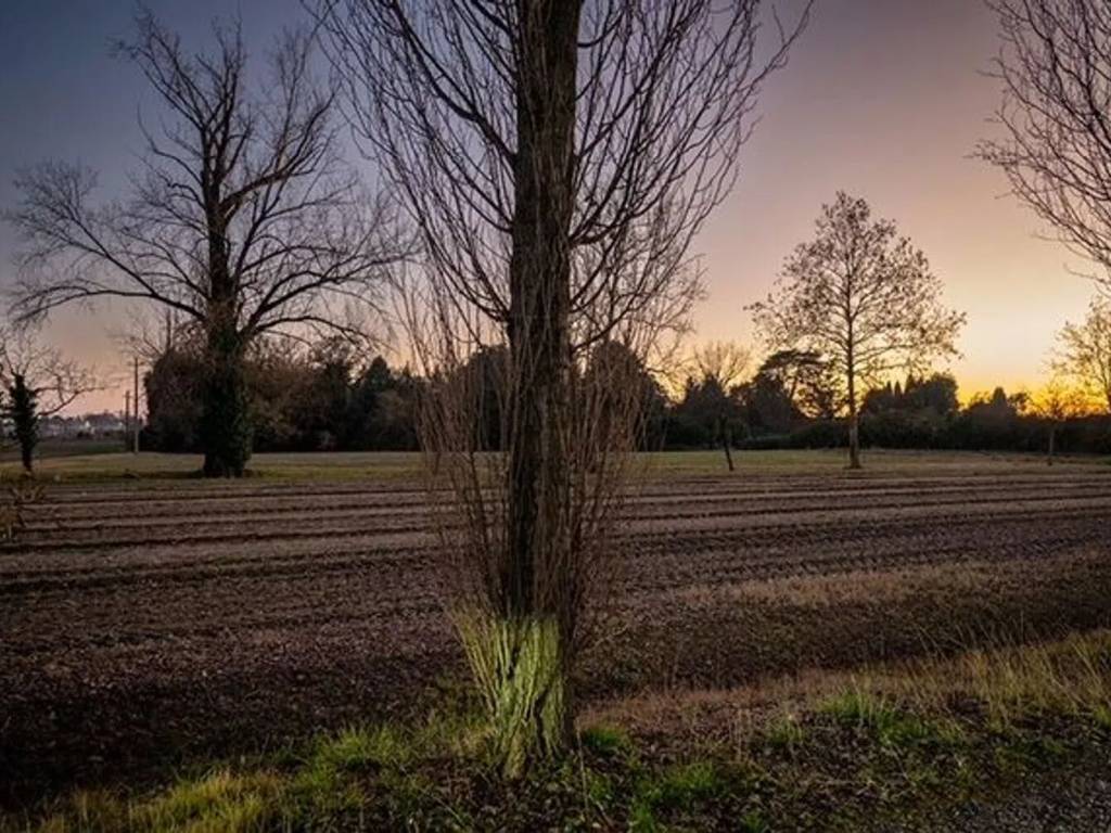 Terreno a Preganziol - Foto 3