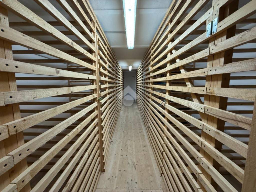 Immobile a Trieste in Via Principe di Montfort, 8 - Foto 5