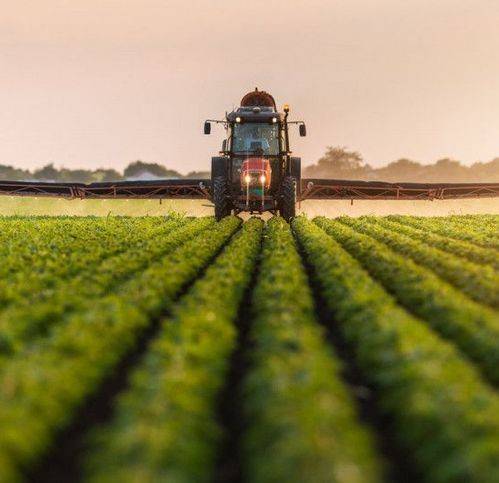 Terreno a Marostica - Foto 2