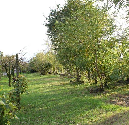 Rustico / casale a Rossano veneto - Foto 2