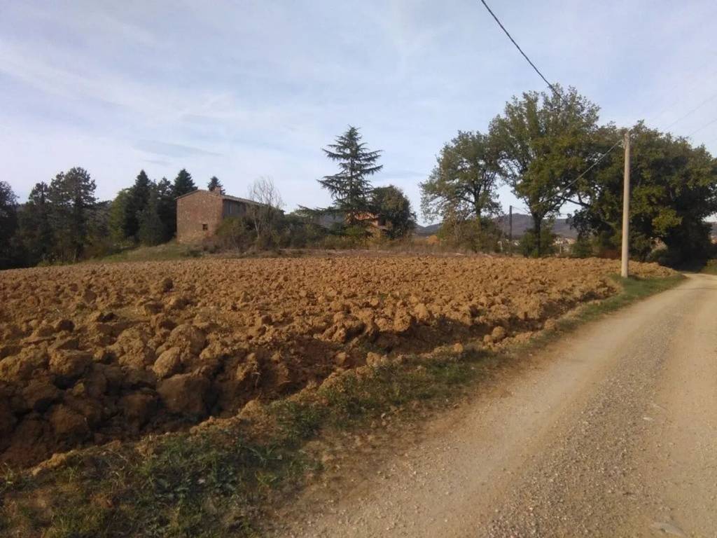 Rustico / casale a Città della pieve - Foto 3