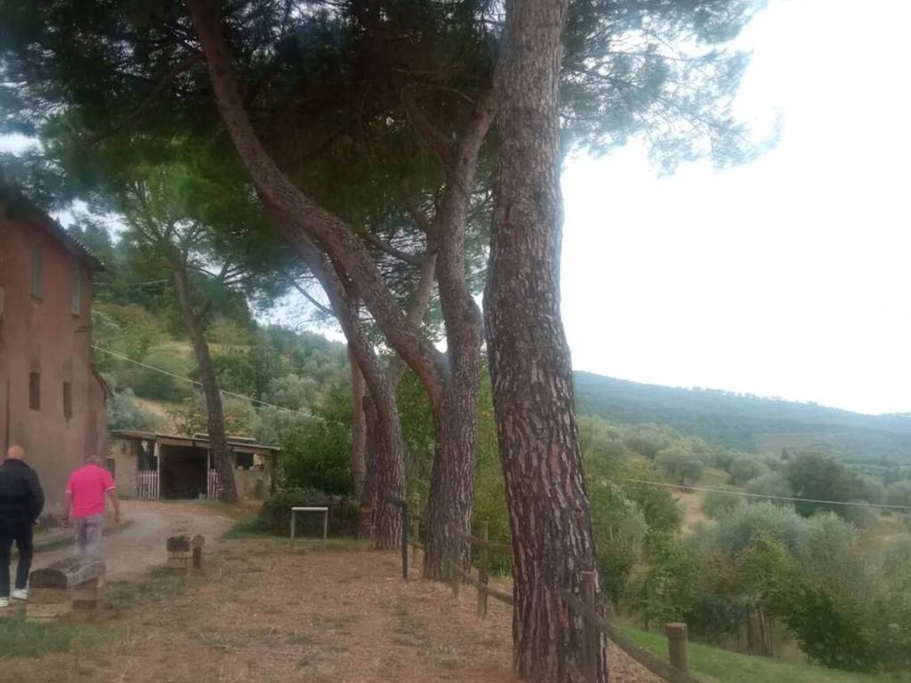 Rustico / casale a Magione - Foto 3