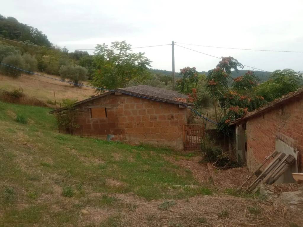 Rustico / casale a Magione - Foto 5