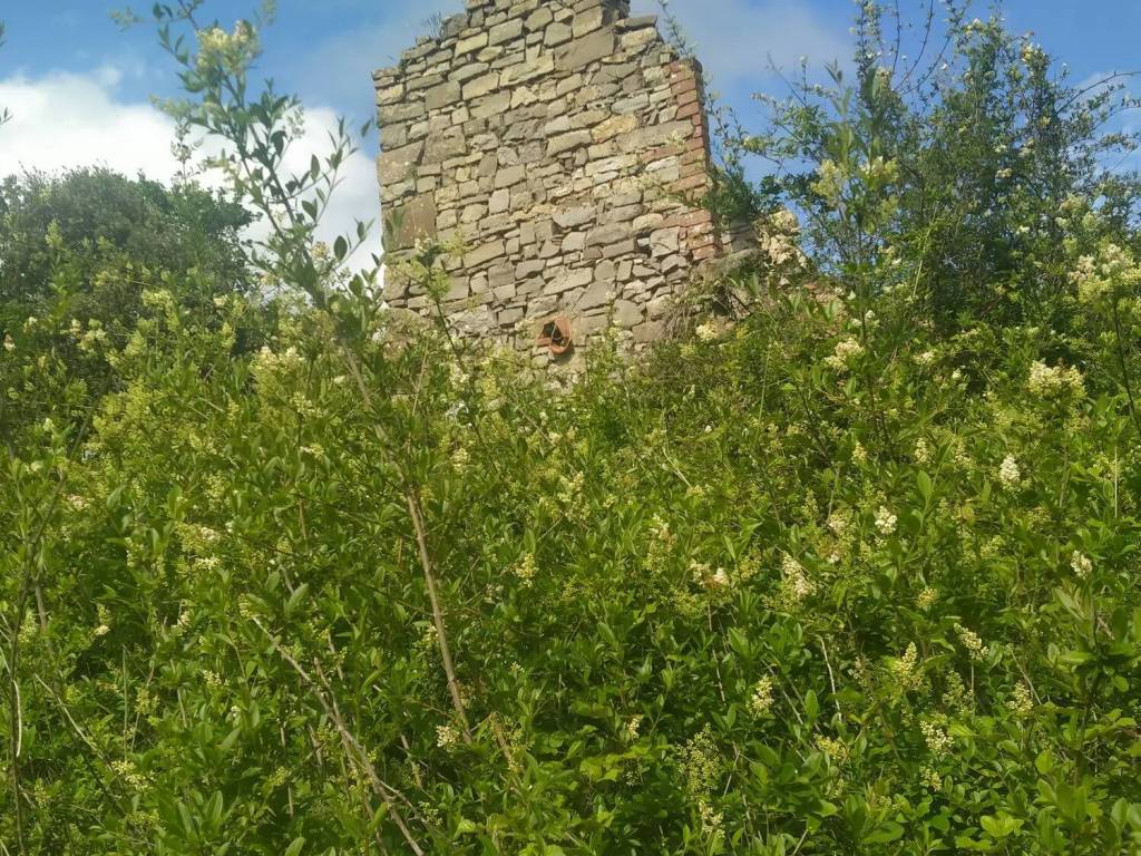 Rustico / casale a Magione in Via Baldani Sant'Arcangelo, 1 - Foto 2