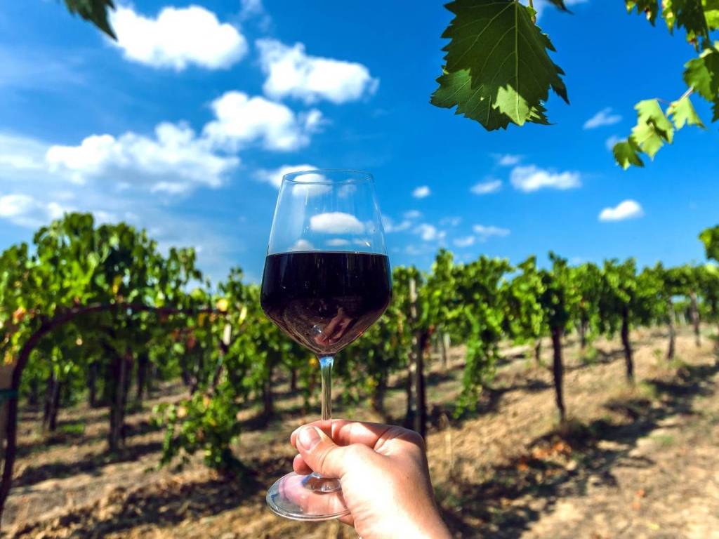 Rustico / casale a Greve in chianti in Strada Regionale Chiantigiana - Foto 2