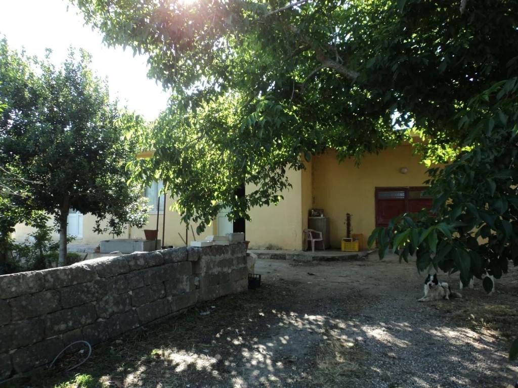 Rustico / casale a Cutrofiano in Contrada San Giovanni - Foto 4