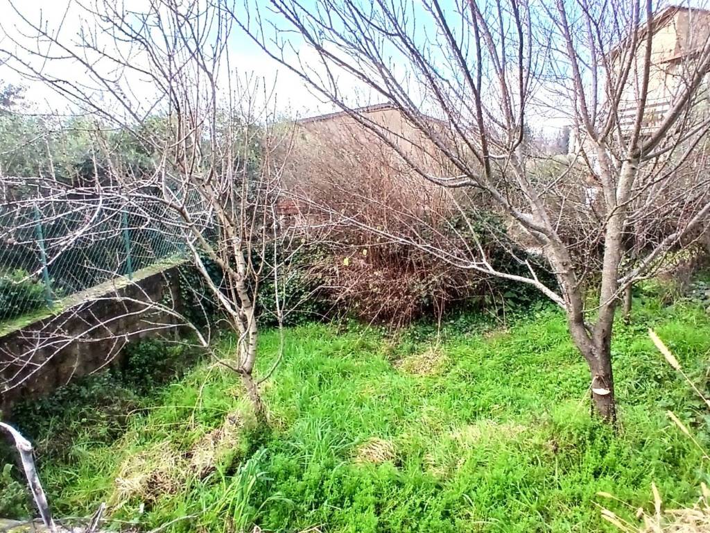 Casa indipendente a Serrone in Via 4 Novembre - Foto 3