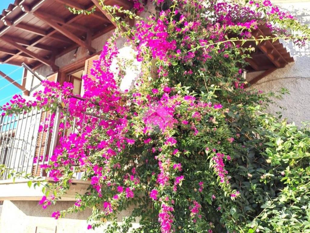 Casa indipendente a Serrone in Via 4 Novembre - Foto 4