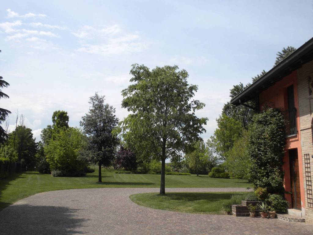 Rustico / casale a Traversetolo in Strada della Sbarra - Foto 5