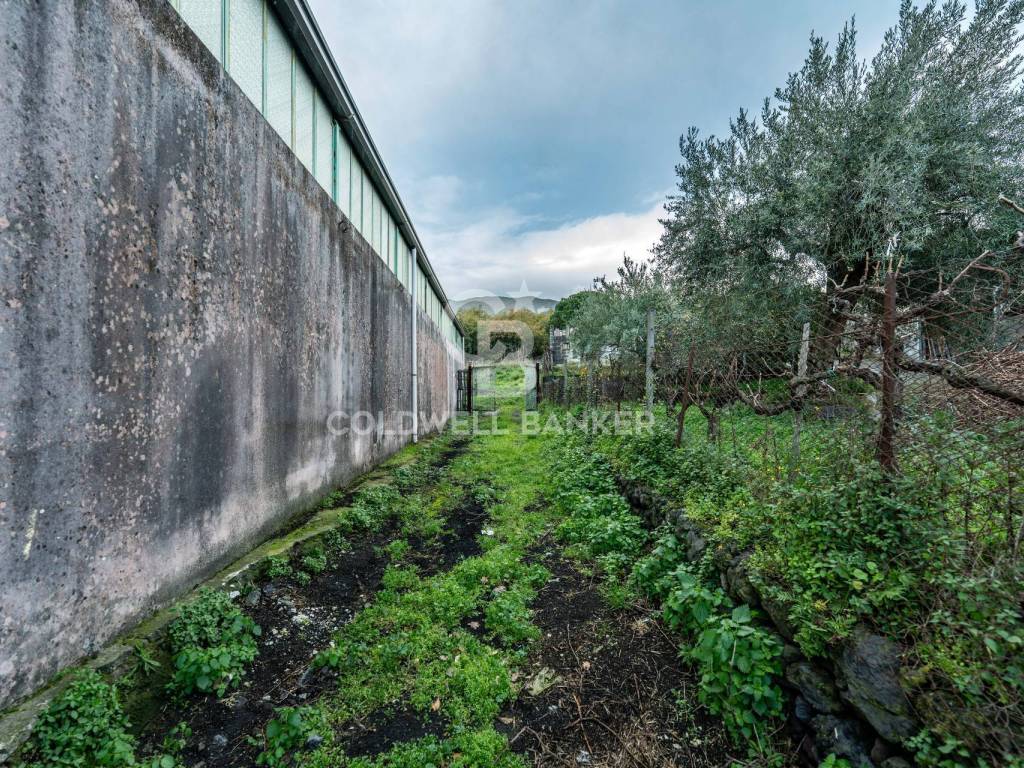 Terreno a Zafferana etnea in Via Cimitero Civita - Foto 2