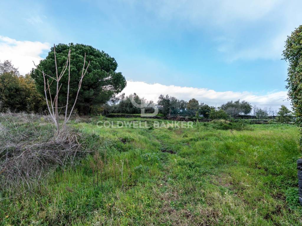 Terreno a Zafferana etnea in Via Cimitero Civita - Foto 4