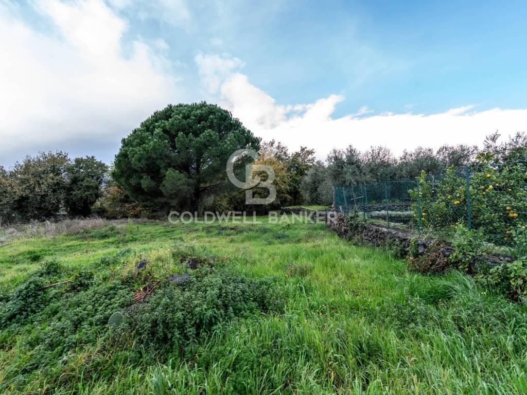 Terreno a Zafferana etnea in Via Cimitero Civita - Foto 5