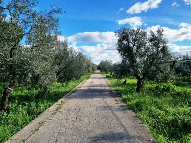 Villa a Bisceglie - Foto 2