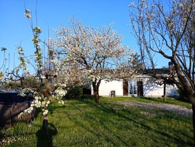 Villa a Castel rocchero - Foto 3