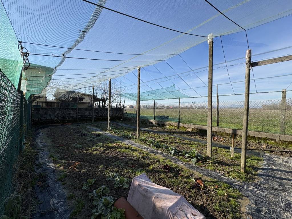 Casa indipendente a Polverara in Via Trieste - Foto 5