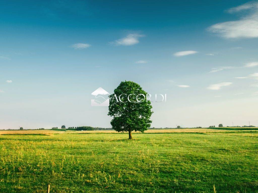 Terreno a Maserada sul piave - Foto 5