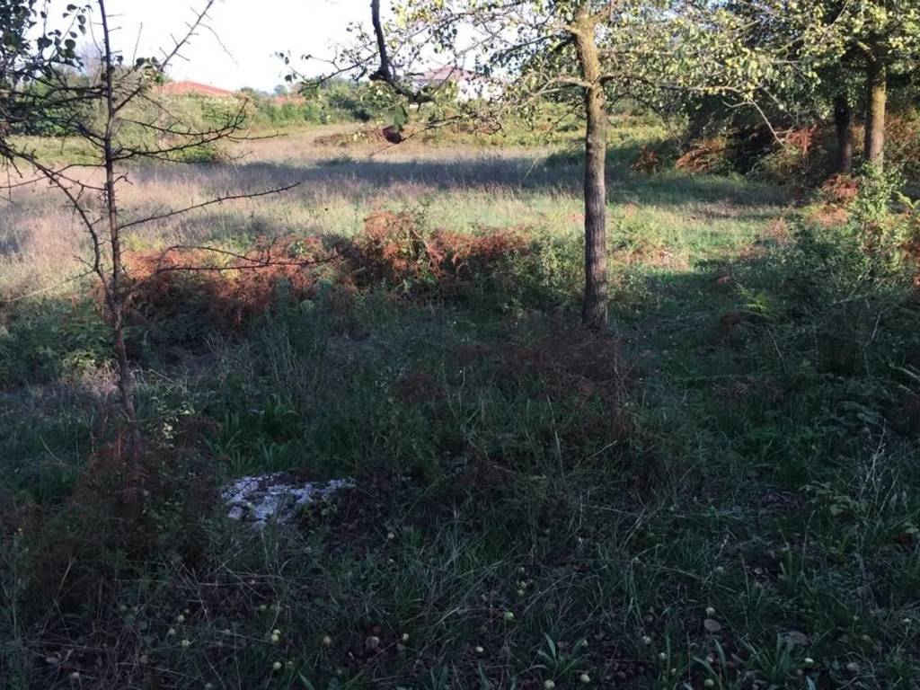 Terreno a Supino in Via La Mola No Number - Foto 2