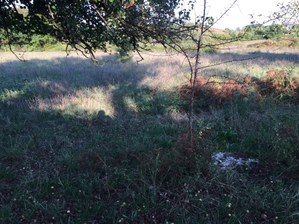 Terreno a Supino in Via La Mola No Number - Foto 3