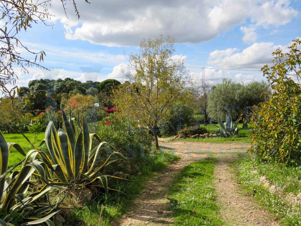 Villa a Noto in Via Tommaso Fazello, 228 - Foto 4