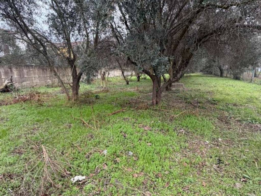 Terreno a Scisciano in via Rossi snc - Foto 2