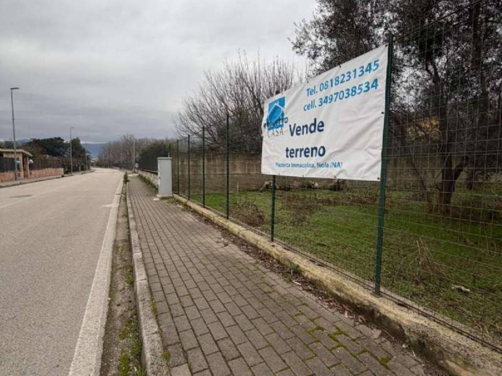 Terreno a Scisciano in via Rossi snc - Foto 3