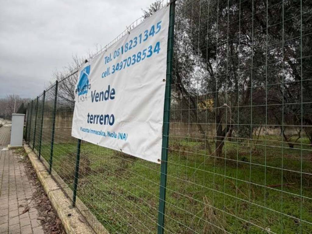 Terreno a Scisciano in via Rossi snc - Foto 5