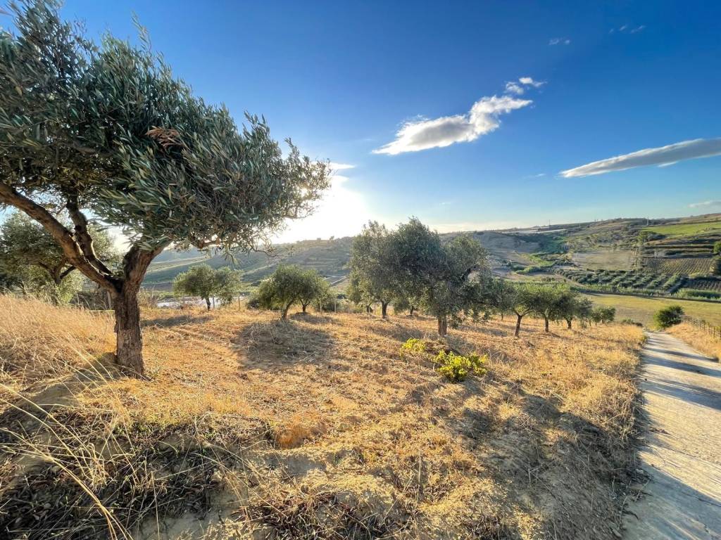 Terreno a Gela - Foto 2