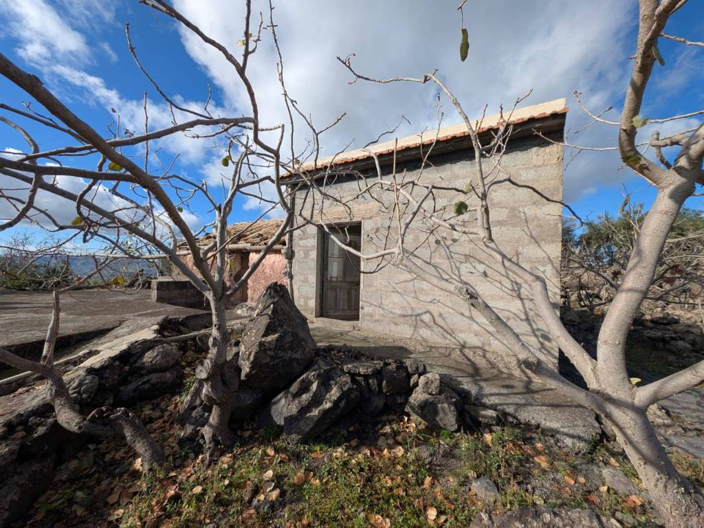 Terreno a Bronte in Strada Statale Occidentale Etnea - Foto 3