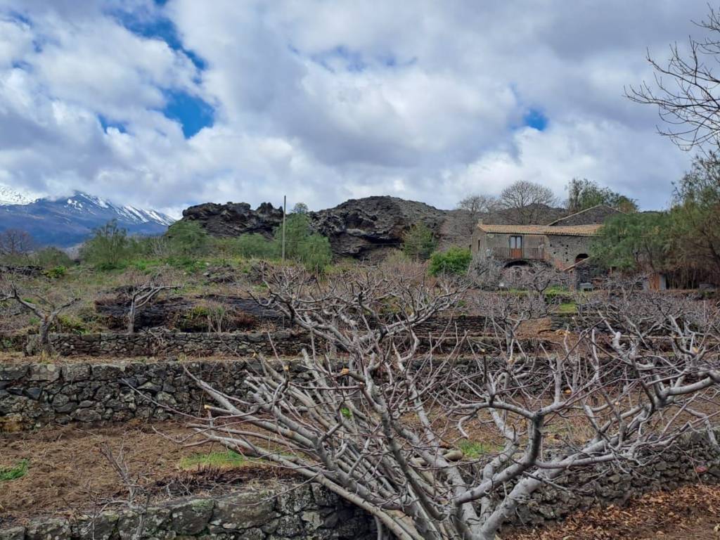 Rustico / casale a Mascali - Foto 4