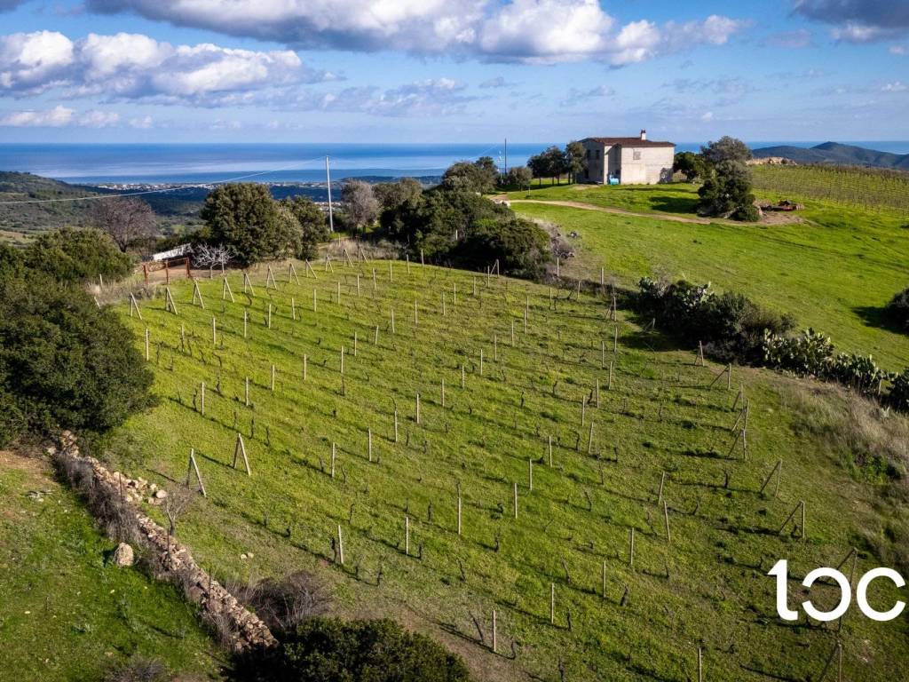 Terreno a Budoni - Foto 2