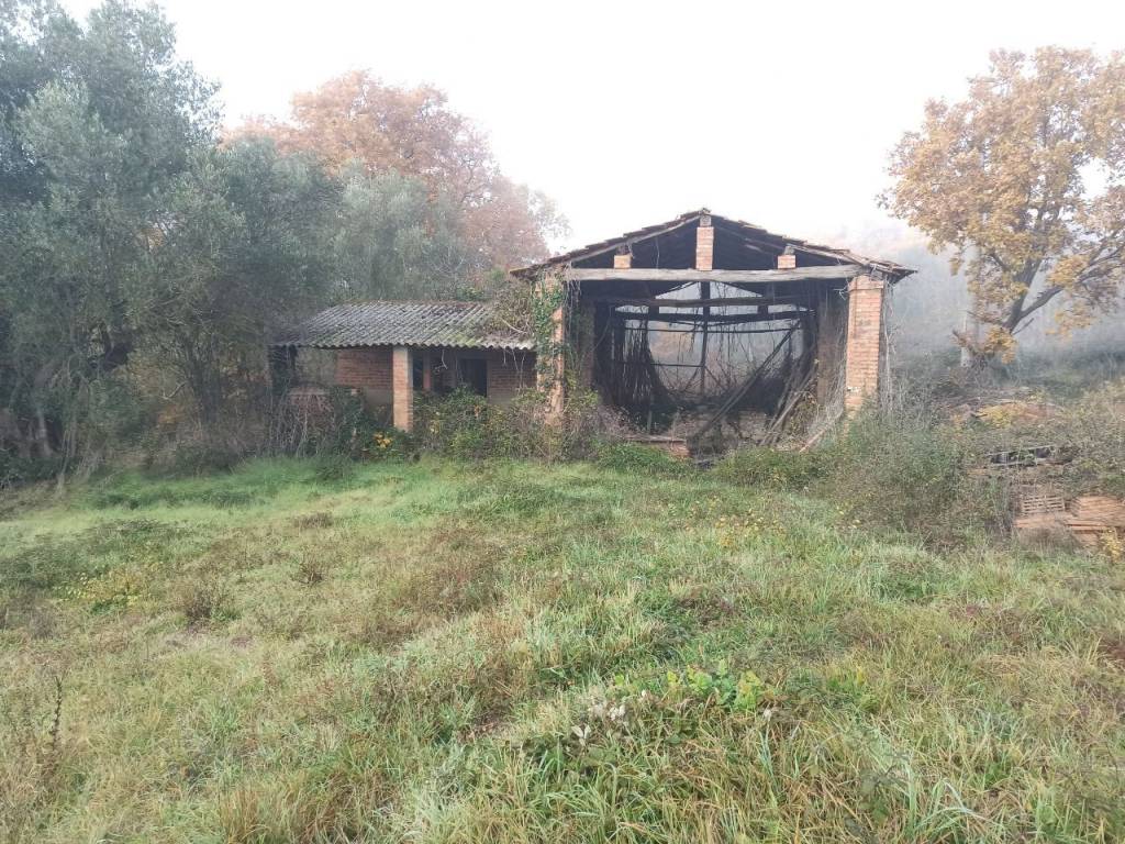 Rustico / casale a Panicale in Via del Lago, 10 - Foto 3