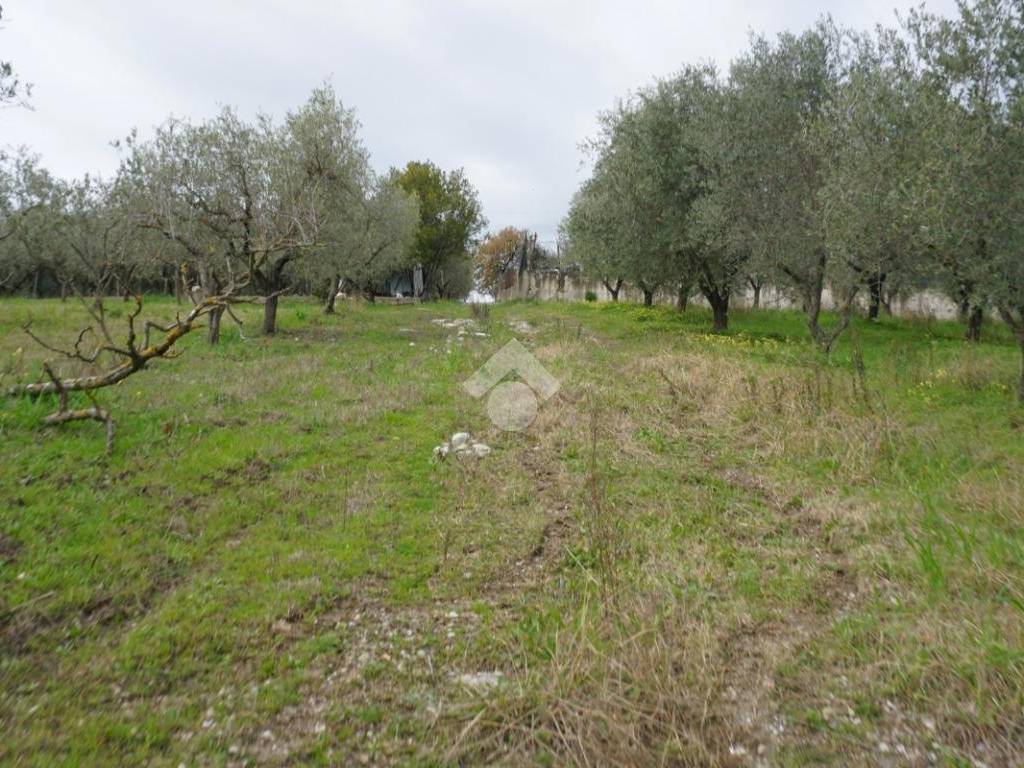 Terreno a Montecorvino pugliano in Via Macchia Morese - Foto 2