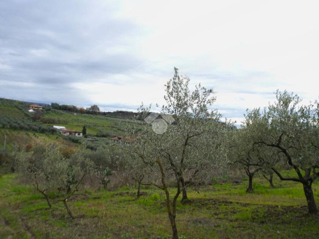 Terreno a Montecorvino pugliano in Via Macchia Morese - Foto 3